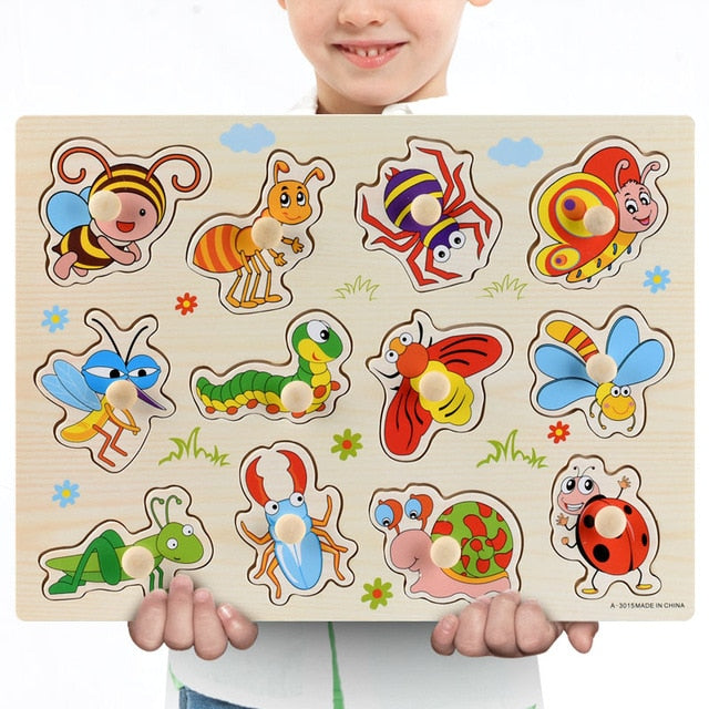 Montessori Knob Puzzle | Learn & Play